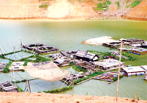 Eo nước hồ sông Đà được người dân xã Phúc Sạn (Mai Châu) phát triển nghề nuôi cá lồng.
